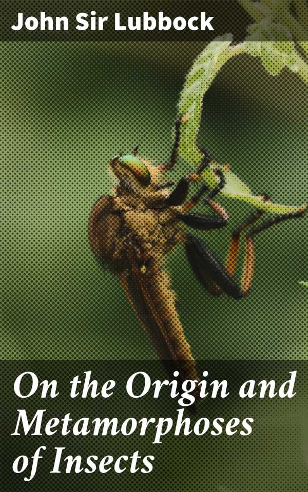 bw-on-the-origin-and-metamorphoses-of-insects-good-press-4057664562937