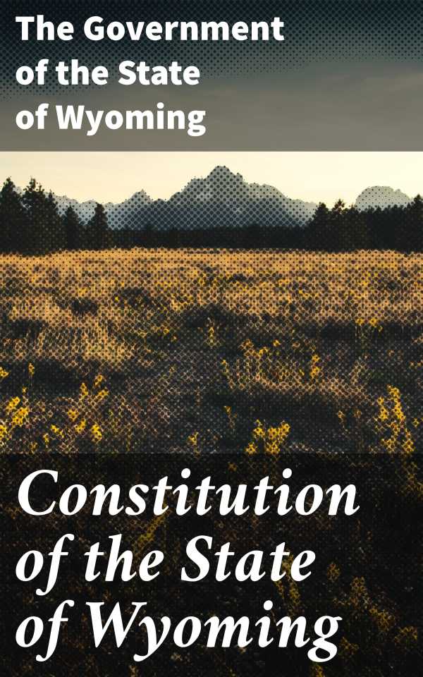 bw-constitution-of-the-state-of-wyoming-good-press-4064066063870