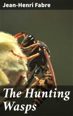 bw-the-hunting-wasps-good-press-4064066418588