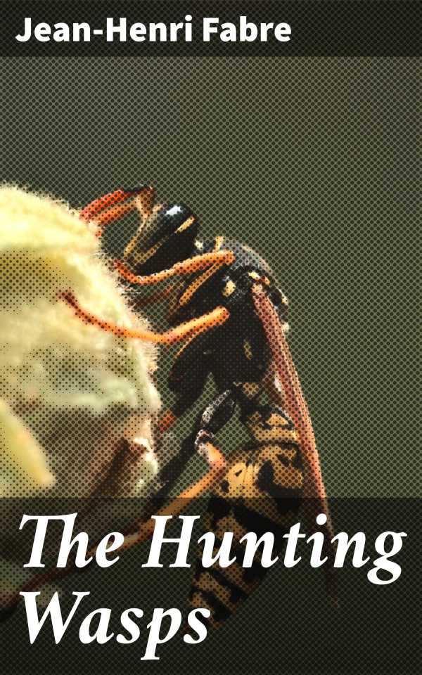 bw-the-hunting-wasps-good-press-4064066418588