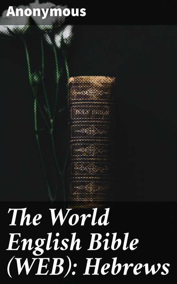 bw-the-world-english-bible-web-hebrews-good-press-4064066091361
