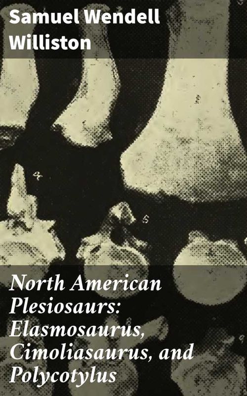 North American Plesiosaurs Elasmosaurus Cimoliasaurus and Polycotylus