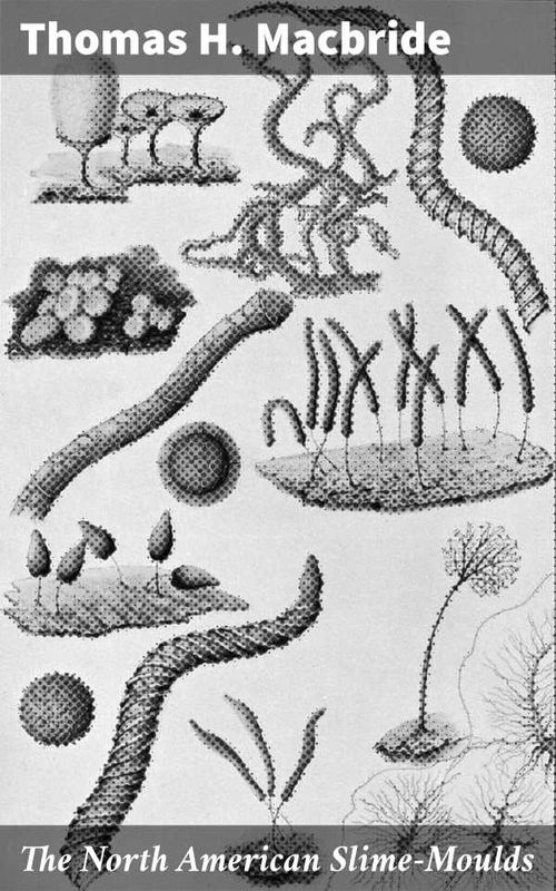The North American SlimeMoulds