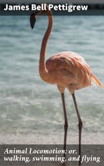 bw-animal-locomotion-or-walking-swimming-and-flying-good-press-4064066182571