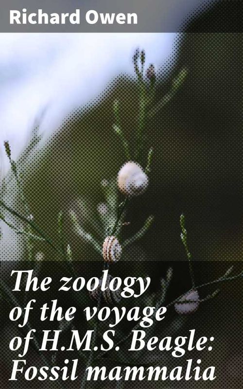 The zoology of the voyage of HMS Beagle Fossil mammalia