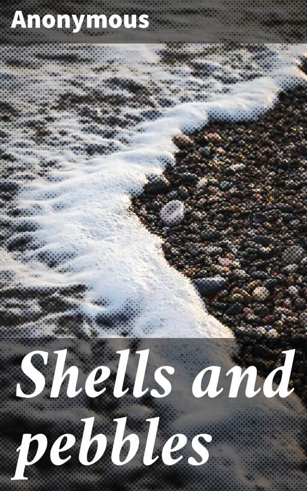 bw-shells-and-pebbles-good-press-4066339528864