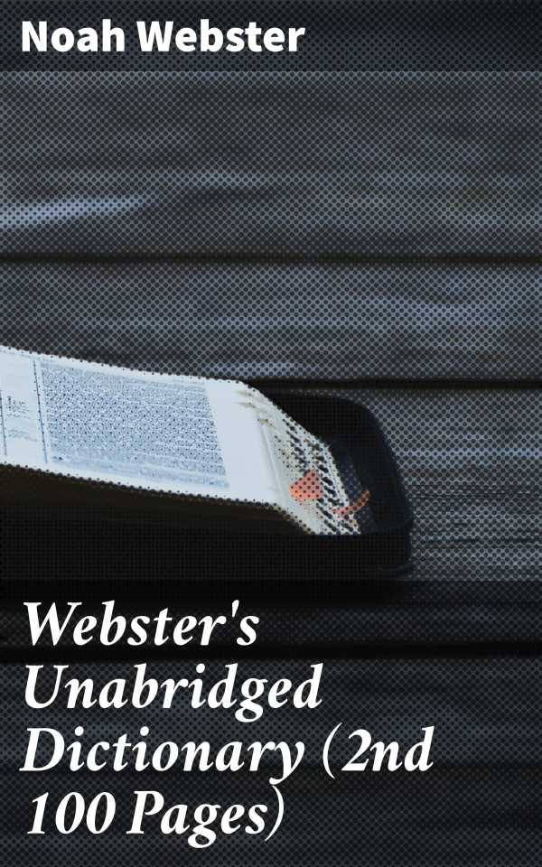 bw-websters-unabridged-dictionary-2nd-100-pages-good-press-4064066104665
