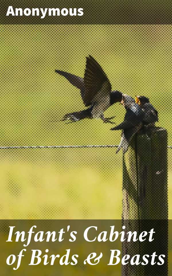 bw-infants-cabinet-of-birds-amp-beasts-good-press-4064066105389