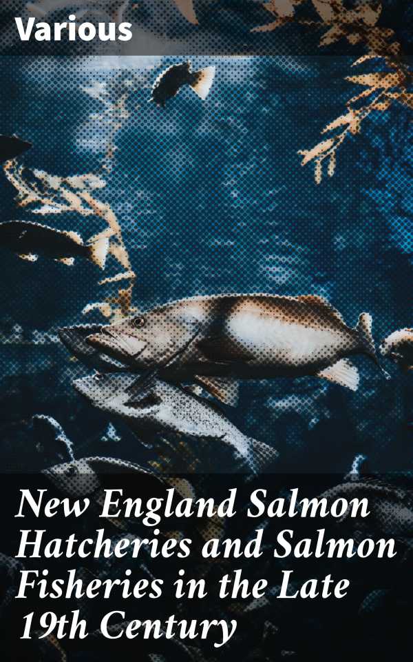 bw-new-england-salmon-hatcheries-and-salmon-fisheries-in-the-late-19th-century-good-press-8596547523901