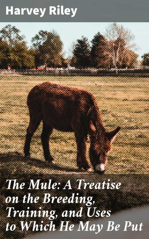 The Mule A Treatise on the Breeding Training and Uses to Which He May Be Put