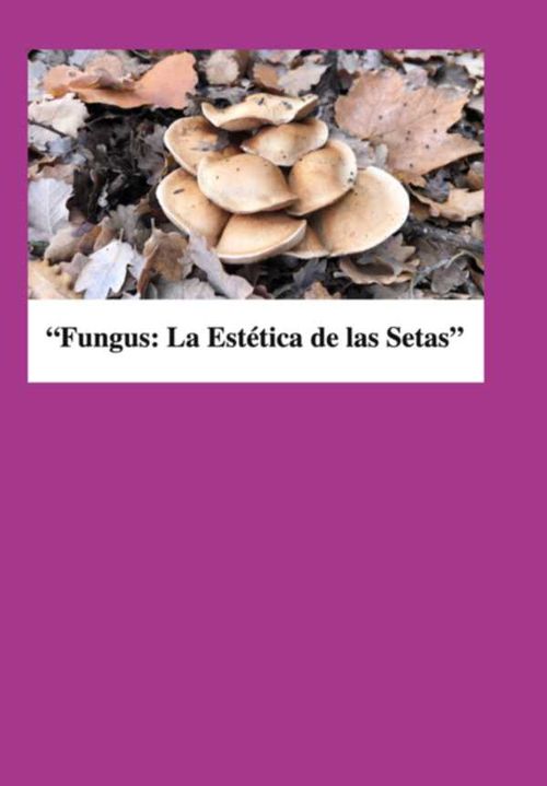 Fungusla Estetica De Las Setas