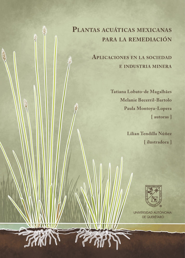 plantas-acuaticas-mexicanas-para-la-remediacion-9786075137155-uadqm