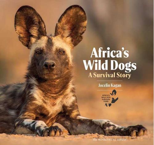 Africas Wild Dogs