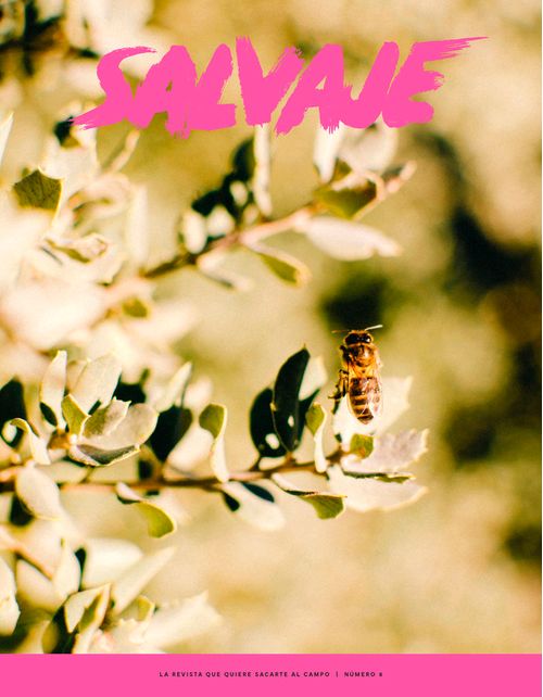 SALVAJE 8