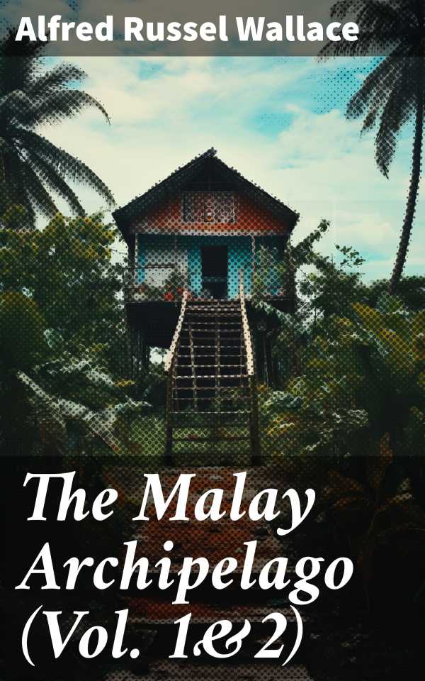 bw-the-malay-archipelago-vol-1amp2-good-press-8596547779346
