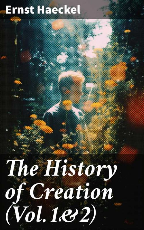 The History of Creation Vol12
