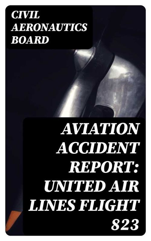 Aviation Accident Report United Air Lines Flight 823