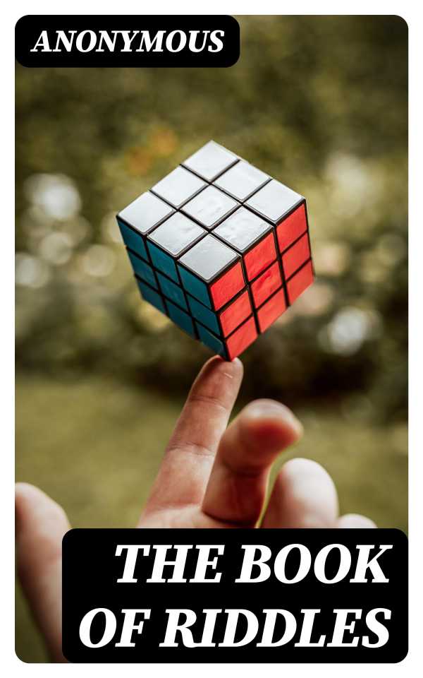 bw-the-book-of-riddles-digicat-8596547015208