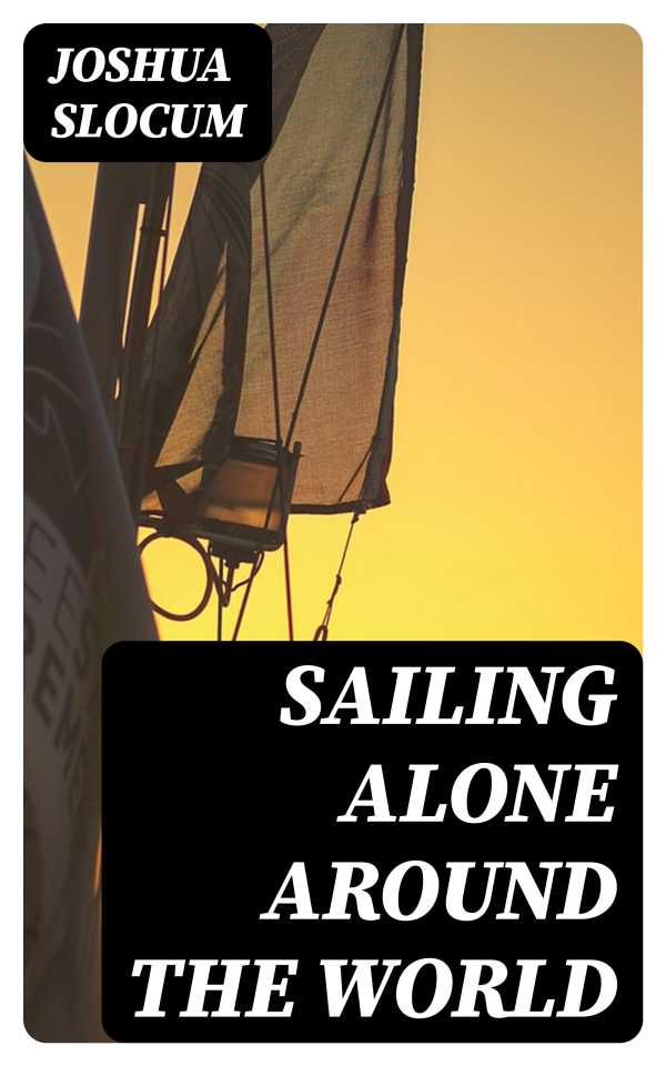 bw-sailing-alone-around-the-world-digicat-8596547027119