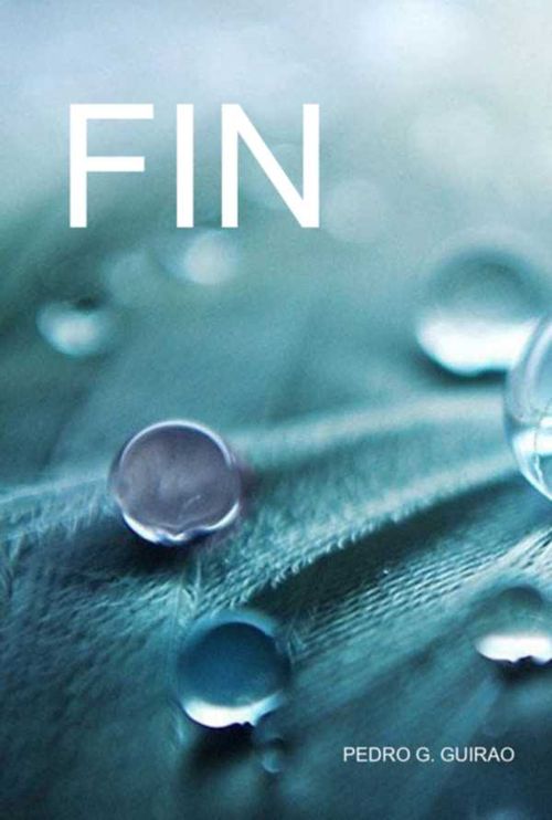 Fin