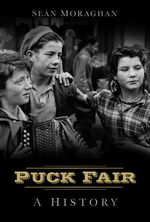 bw-puck-fair-thp-ireland-9780752499512
