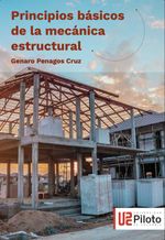 bw-principios-baacutesicos-de-la-mecaacutenica-estructural-universidad-piloto-de-colombia-9789585106963
