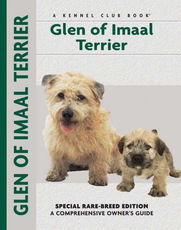 bw-glen-of-imaal-terrier-companionhouse-books-9781621870524