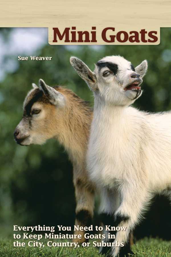 bw-mini-goats-companionhouse-books-9781620082119