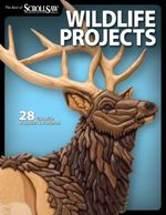bw-wildlife-projects-fox-chapel-publishing-9781607654179