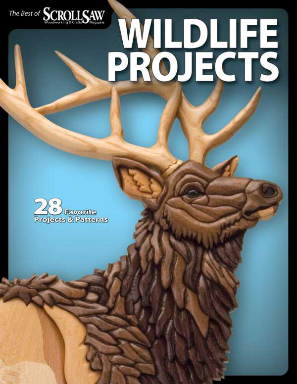 bw-wildlife-projects-fox-chapel-publishing-9781607654179