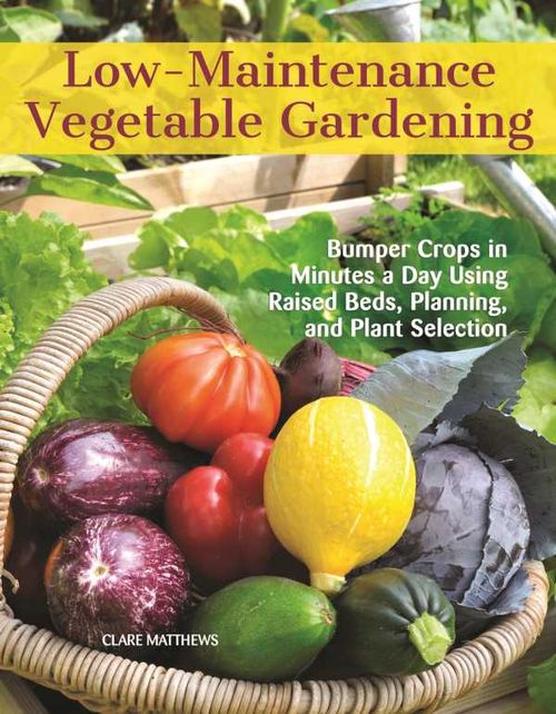 LowMaintenance Vegetable Gardening