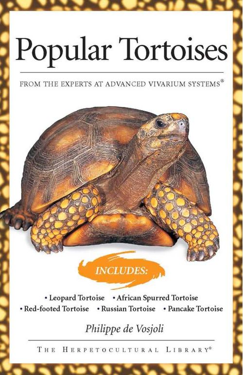 Popular Tortoises Advanced Vivarium Systems