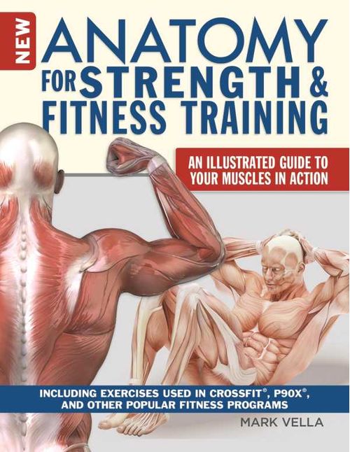 New Anatomy for Strength Fitness Training