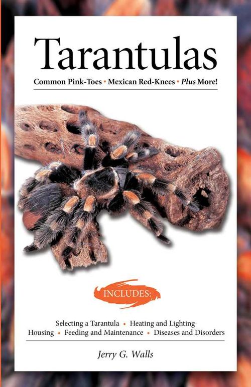 Tarantulas Advanced Vivarium Systems