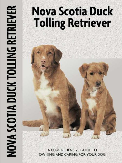 Nova Scotia Duck Tolling Retriever Comprehensive Owners Guide