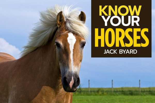 bw-know-your-horses-old-pond-books-9781912158713