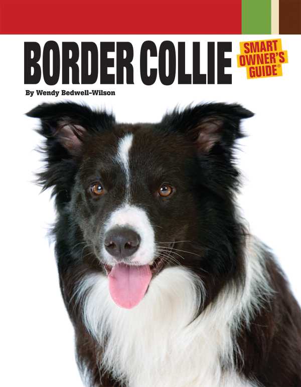 bw-border-collie-companionhouse-books-9781593787400