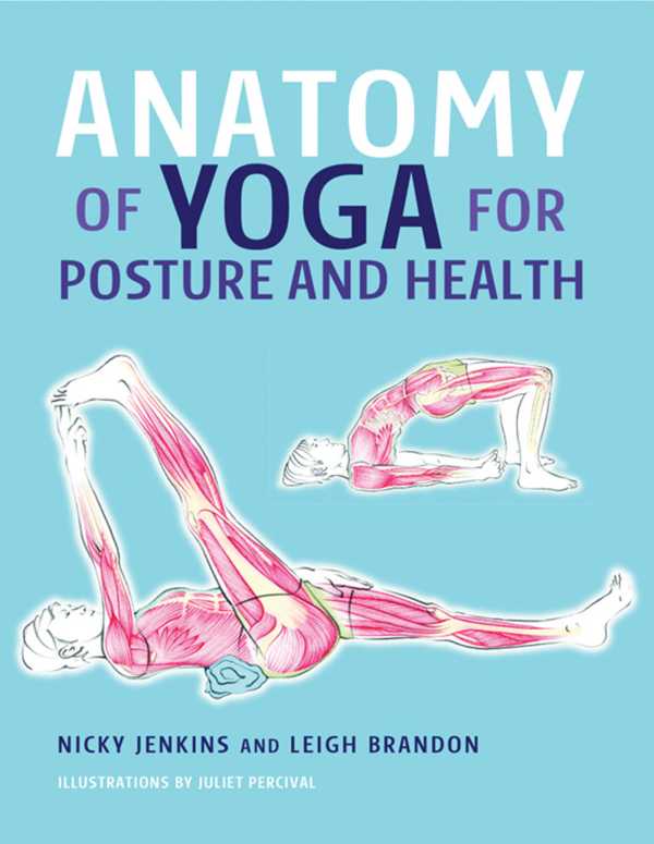 bw-anatomy-of-yoga-for-posture-and-health-imm-lifestyle-books-9781607651802
