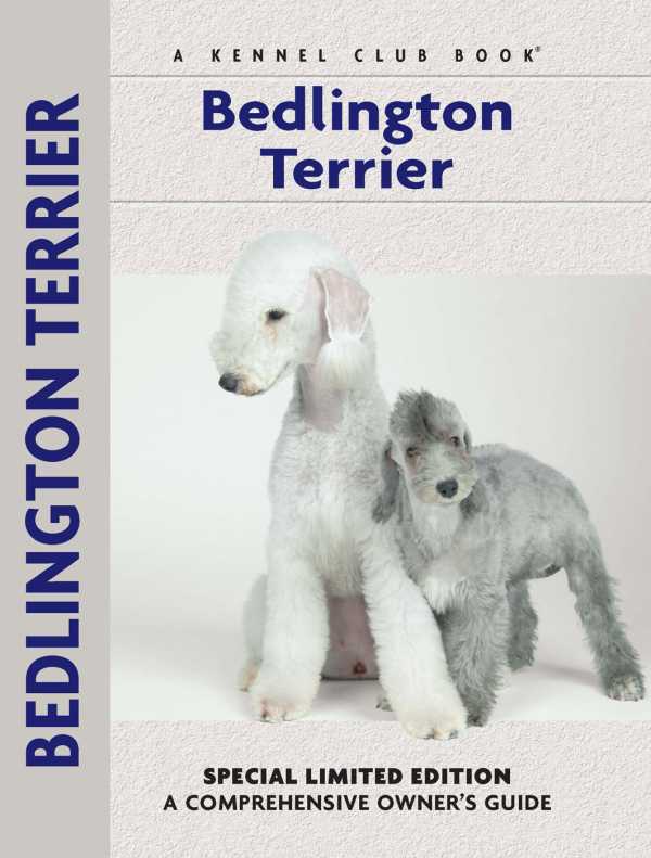 bw-bedlington-terrier-companionhouse-books-9781621870371