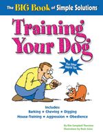 bw-the-big-book-of-simple-solutions-companionhouse-books-9781620080801