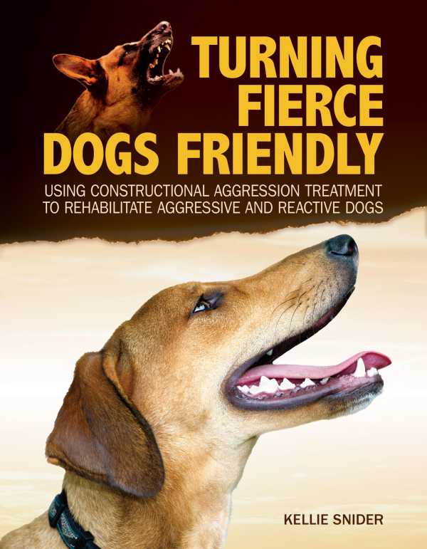 bw-turning-fierce-dogs-friendly-companionhouse-books-9781621871705
