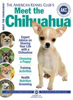 bw-meet-the-chihuahua-companionhouse-books-9781620080337