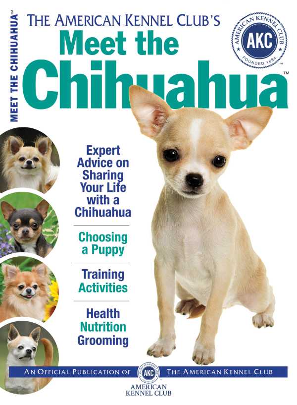 bw-meet-the-chihuahua-companionhouse-books-9781620080337