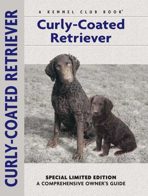 Curlycoated Retriever