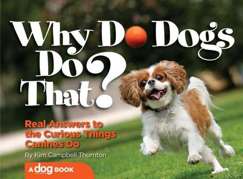 Why Do Dogs Do That