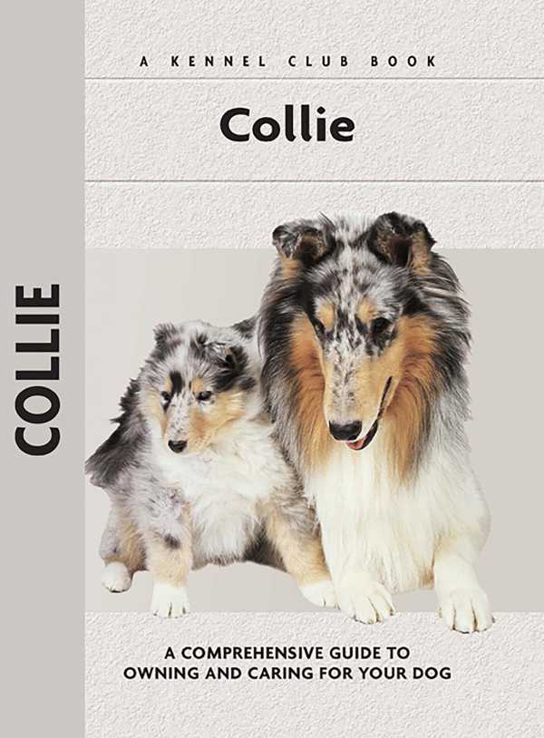 bw-collie-companionhouse-books-9781593788988