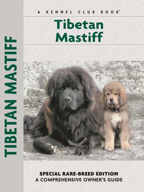 Tibetan Mastiff