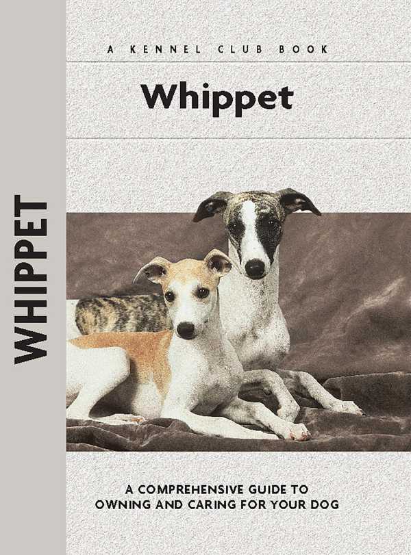 bw-whippet-companionhouse-books-9781593789763