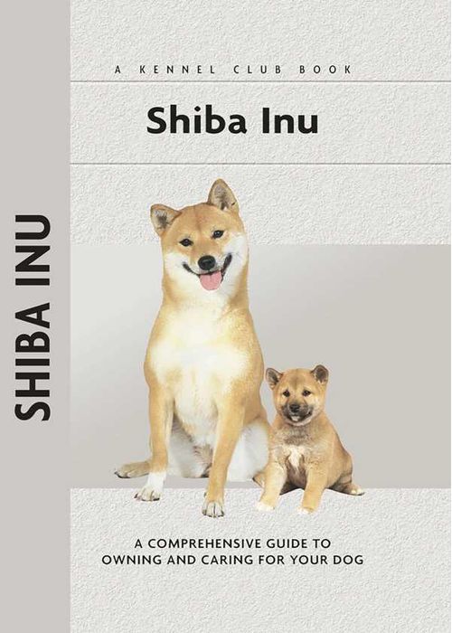 Shiba Inu
