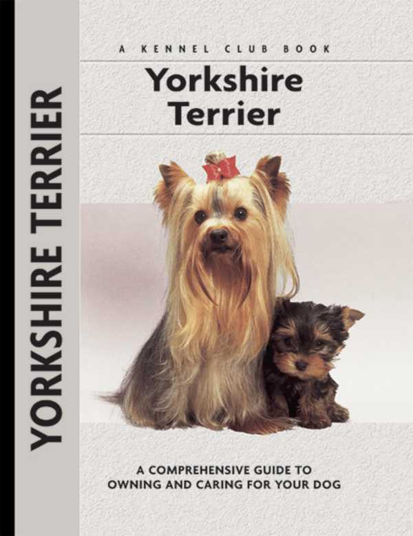 bw-yorkshire-terrier-companionhouse-books-9781593788582
